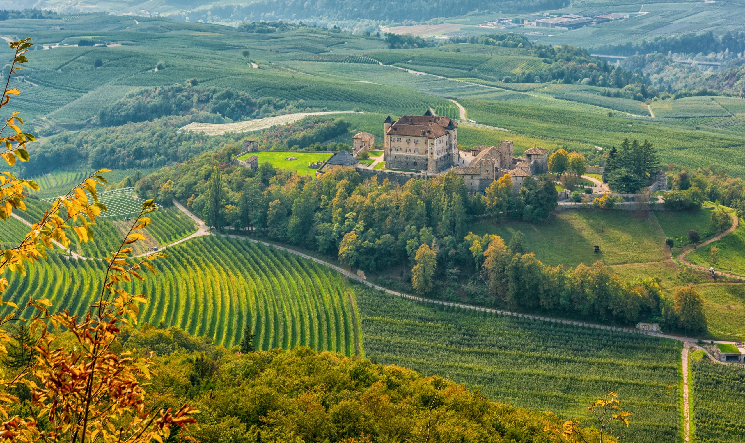 Grapes and agriculture in the italian Trentino valley