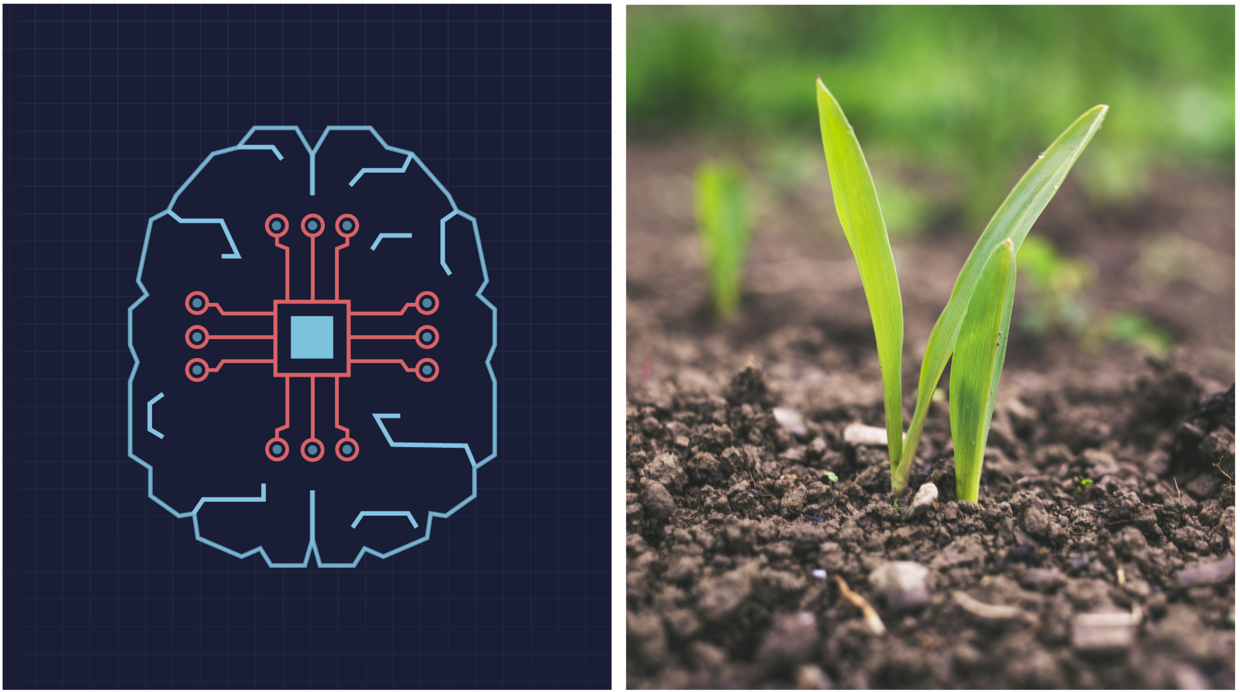 DestinE Blog – Towards an ML-based Earth System Model: Land